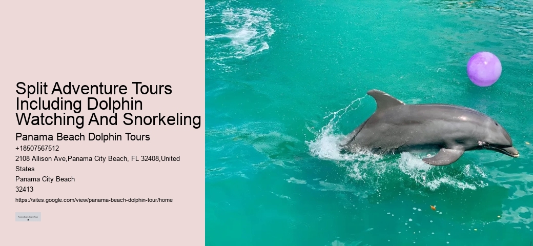 Split Private Luxury Dolphin And Snorkeling Tours