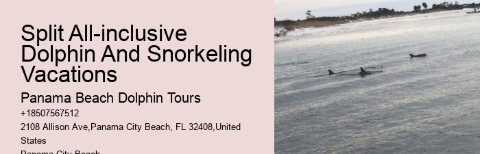 Dolphin And Snorkeling Day Trips From Split