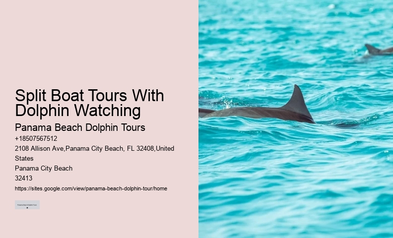 A Helping Flipper: Why Do Dolphins Save Humans
