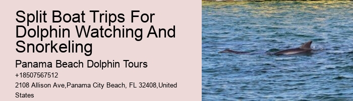 Split Island-hopping Tours With Dolphin Spotting And Snorkeling