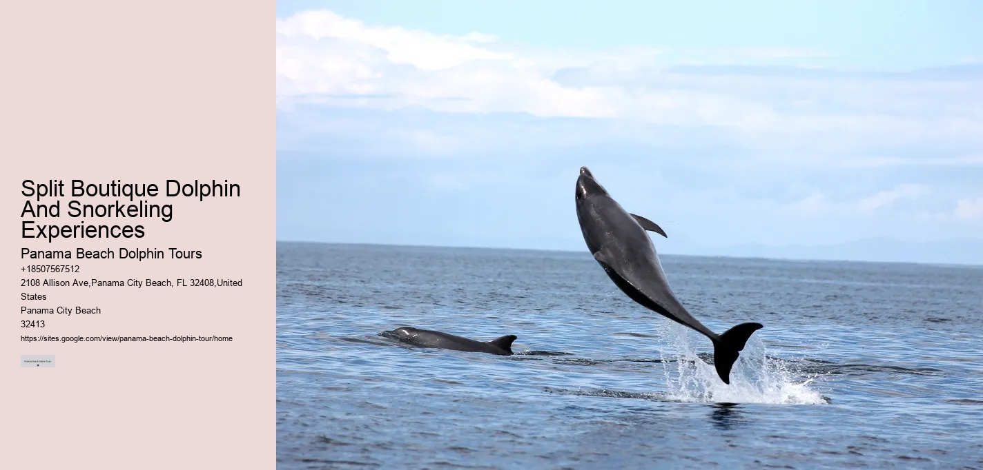 Why Do Dolphins And Orcas Sometimes Get Caught By Fish Hooks