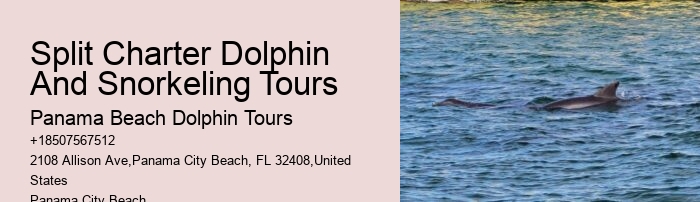 Dolphin sightseeing tours at Panama City Beach