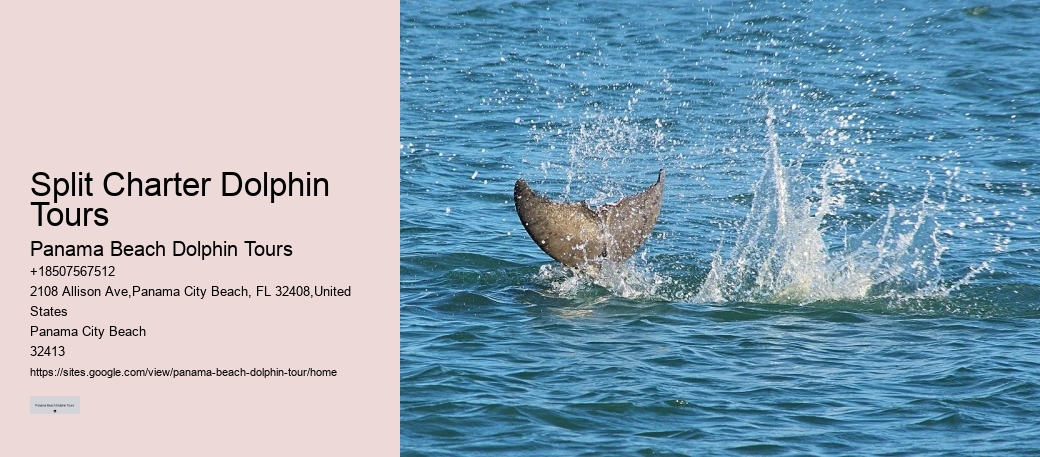 Ocean conservation