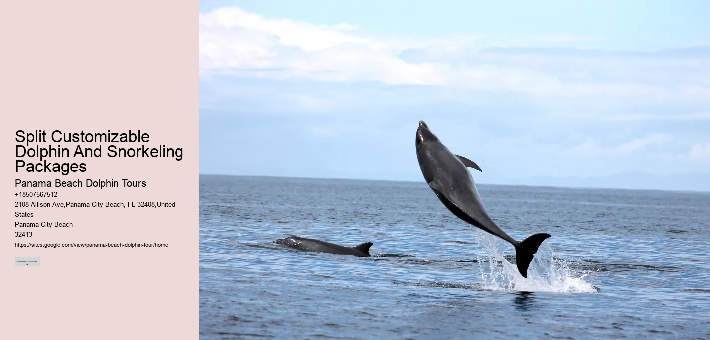 Orange Beach Jet Ski Dolphin Tours