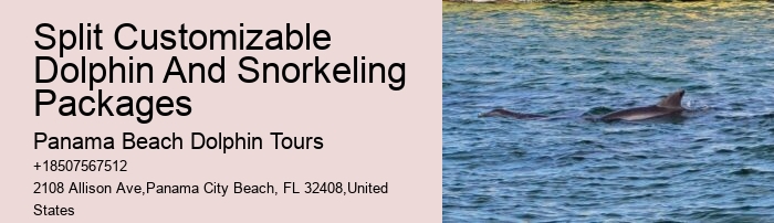 Dolphin Sightseeing Tours