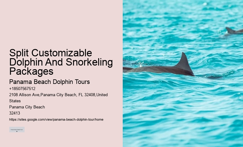 Split Half-day Dolphin And Snorkeling Tours
