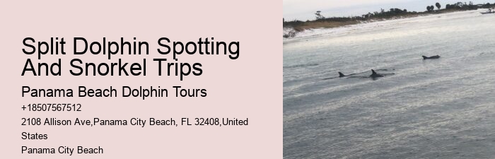 Gulf of Mexico