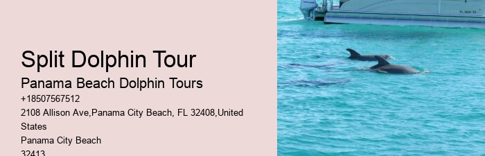 Split Luxury Snorkeling And Dolphin Experiences