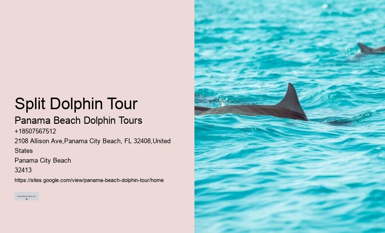 Are Panama City Beach dolphin tours wheelchair accessible