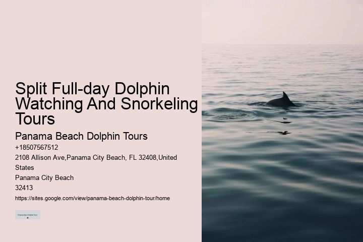 Deluxe Dolphin Safari and Snorkeling Trips