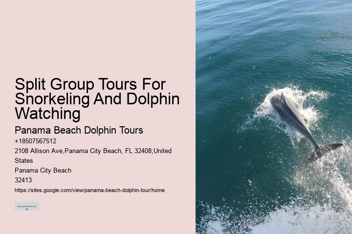 Panama Beach Dolphin Tours Panama City Beach