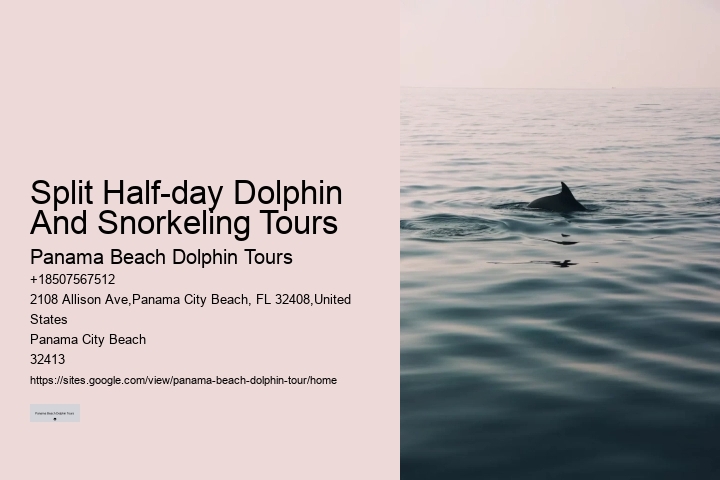Top 20 Panama City Beach Dolphin Cruises & Tours 2024
