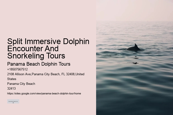 Dolphin And Snorkeling Tours Panama City Beach Fl