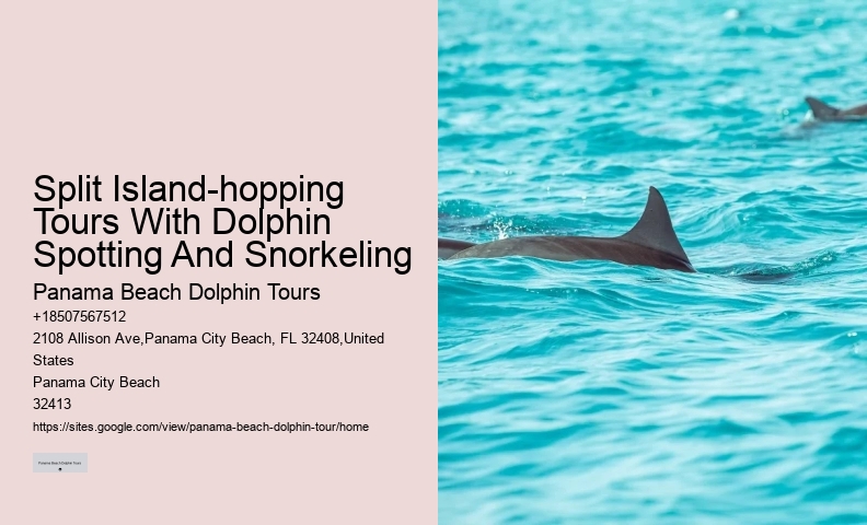 Split Vip Snorkeling And Dolphin Watching Tours