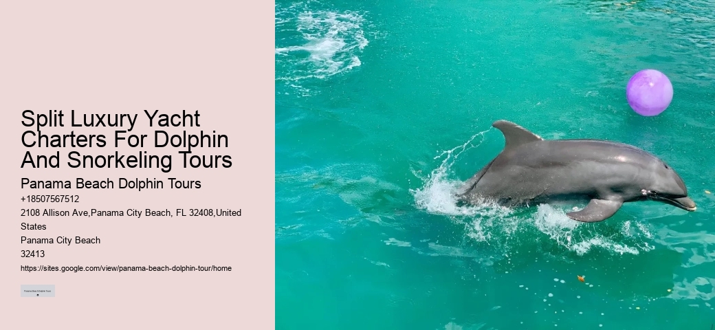 Are there any restrictions on interactions with dolphins during the tours in Panama City Beach