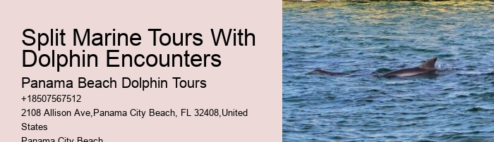 Dolphin & Snorkeling Tours Panama City Beach