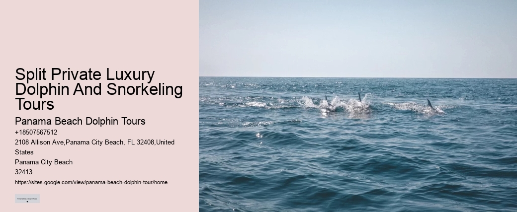 Snorkeling And Dolphin Cruise From Split