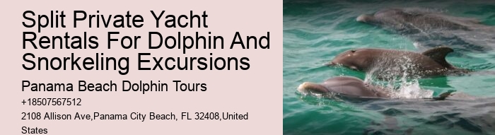 Are Panama City Beach dolphin tours suitable for people with disabilities