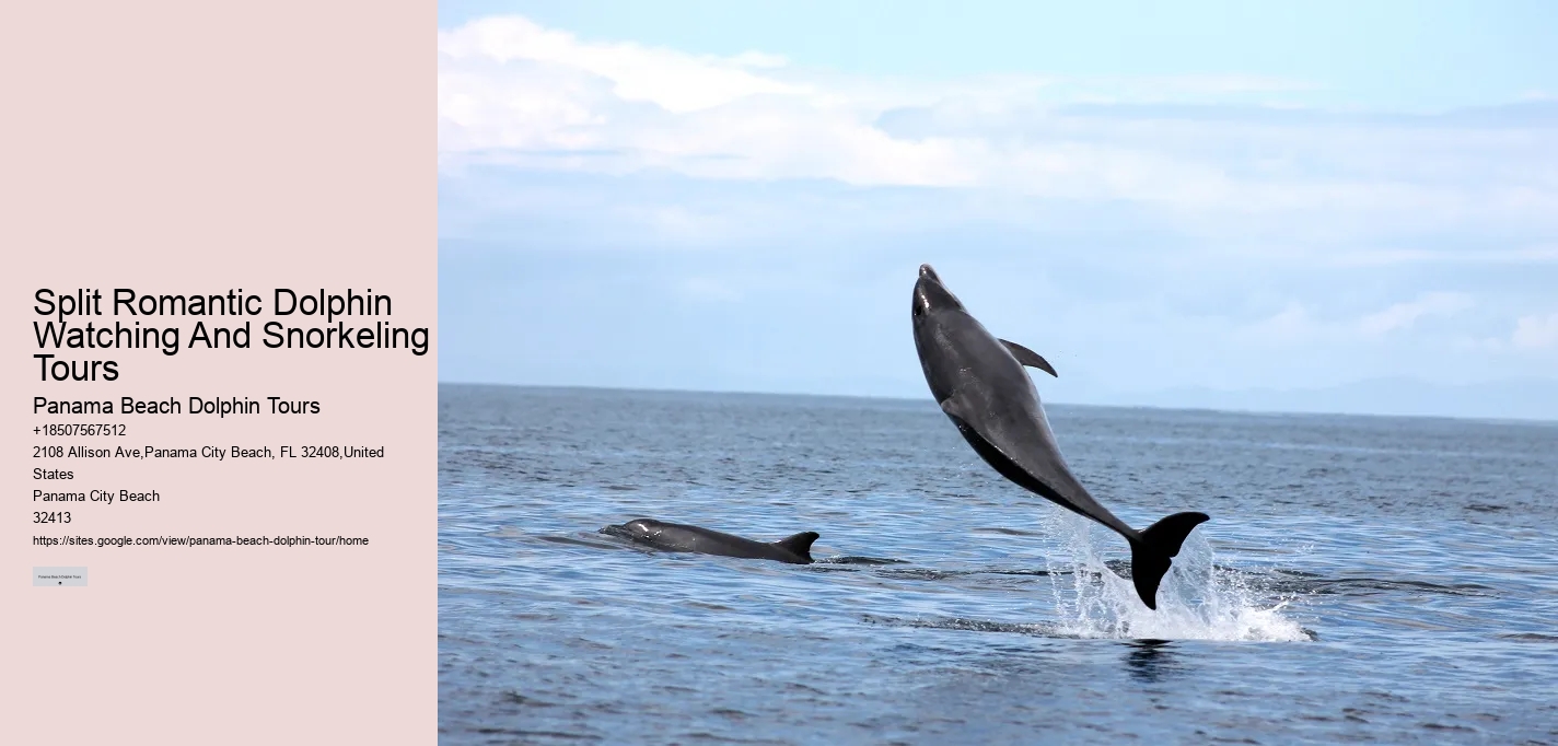 Do Dolphins Befriend Humans