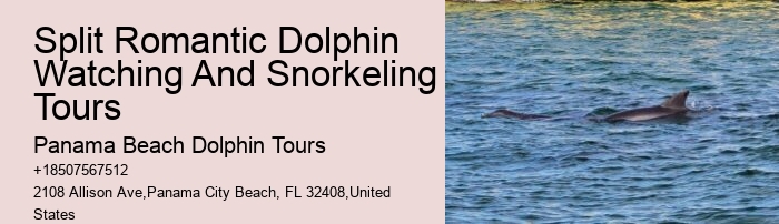 Split Thrilling Snorkeling And Dolphin Encounters