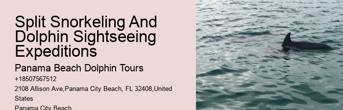 Panama City Beach Dolphin Tours & More Tours