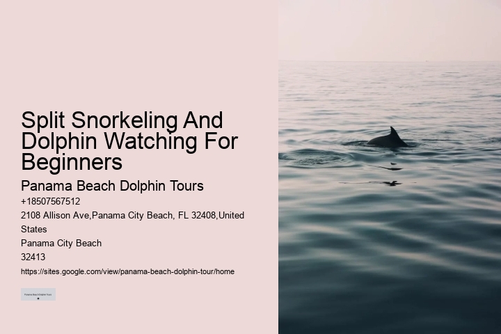 Dolphin Tours Tarpon Springs