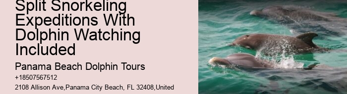 Dolphin Express