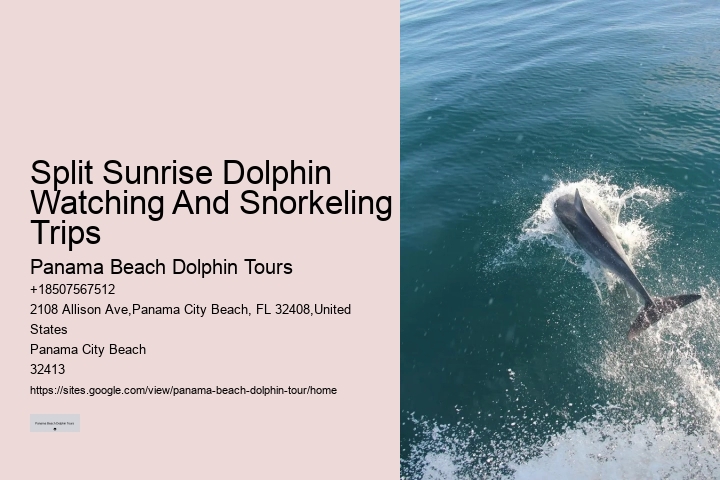 Split Exclusive Snorkeling And Dolphin Charters