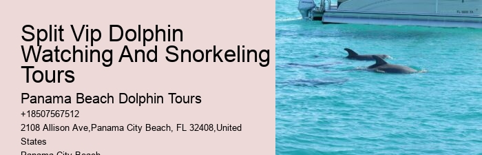 Blue Dolphin Tours Panama City Beach Fl