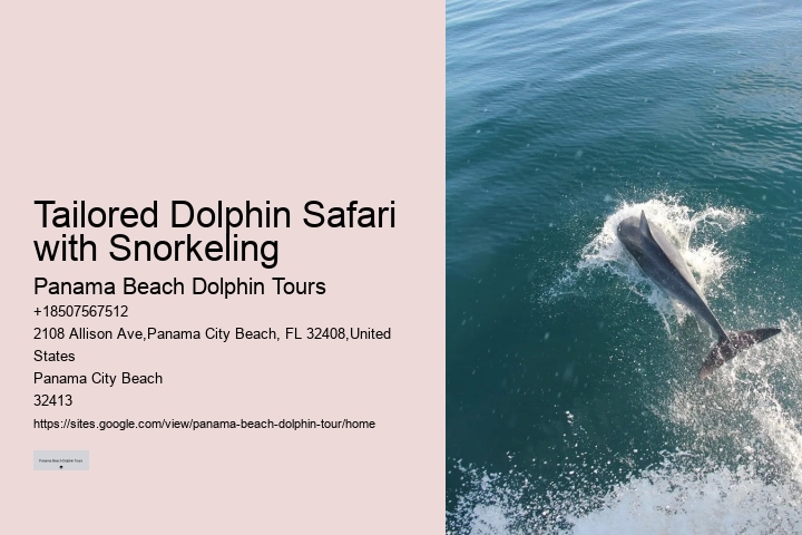 Split Catamaran Dolphin Watching And Snorkeling Expeditions