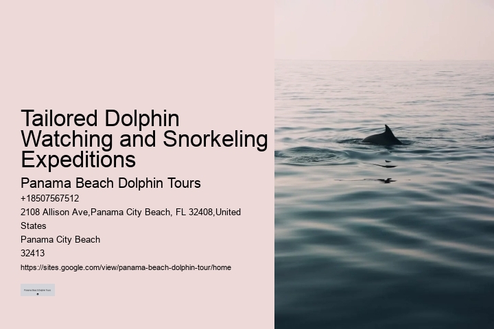 Split Expert-led Dolphin And Snorkeling Tours