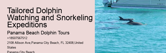 Salty Fins Dolphin And Snorkeling Tours