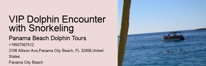 Panama Beach Dolphin Tours