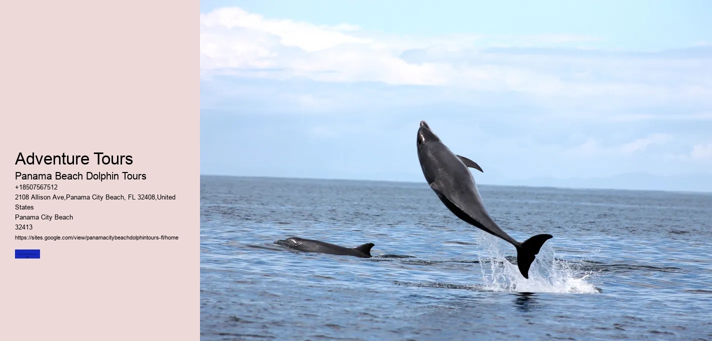 Panama City Beach Dolphin Tours & More Photos