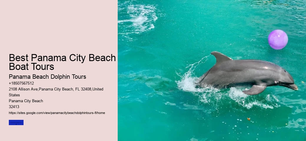 Dolphin Cruise