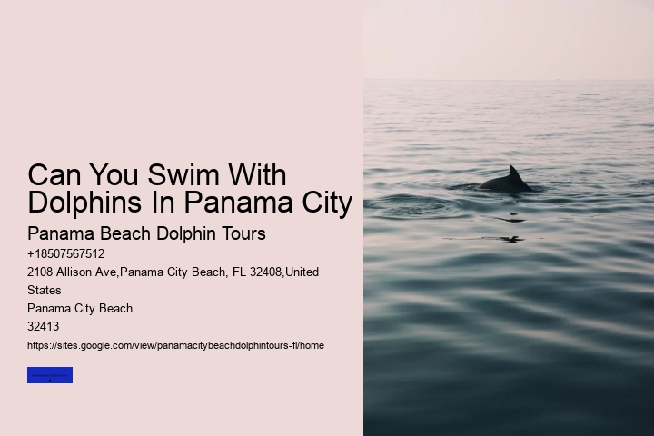 Panama City Beach Dolphin Tours