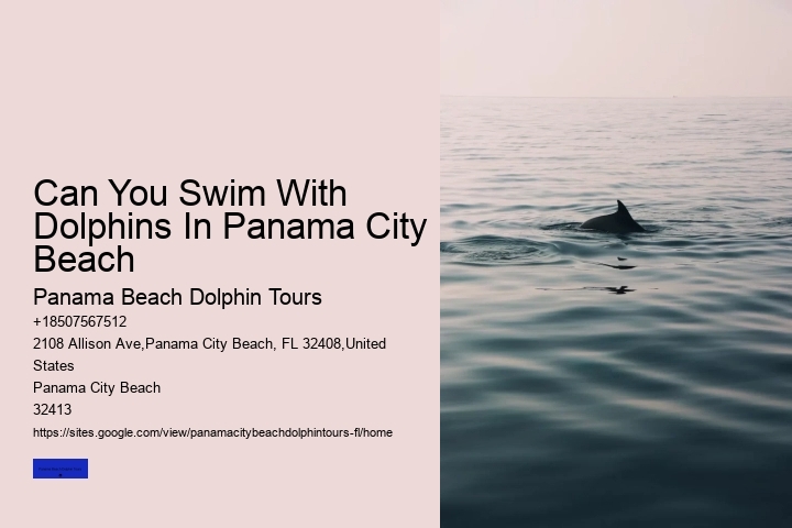 Best Snorkeling Panama City Beach FL