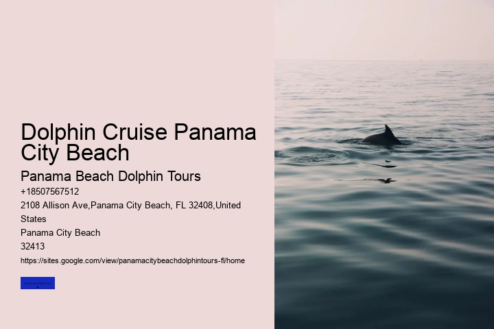 The Best Places In The World To See Wild Dolphins