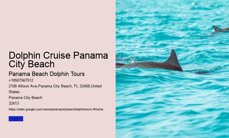 Dolphin And Snorkel Tours Panama City Beach