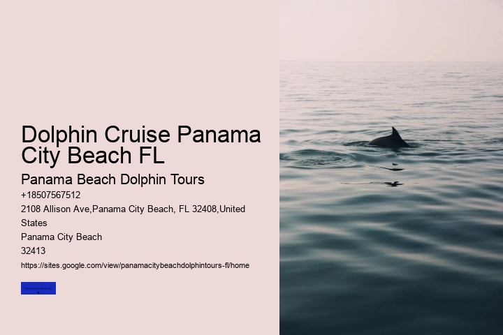 Dolphin Tours Panama City Beach Florida