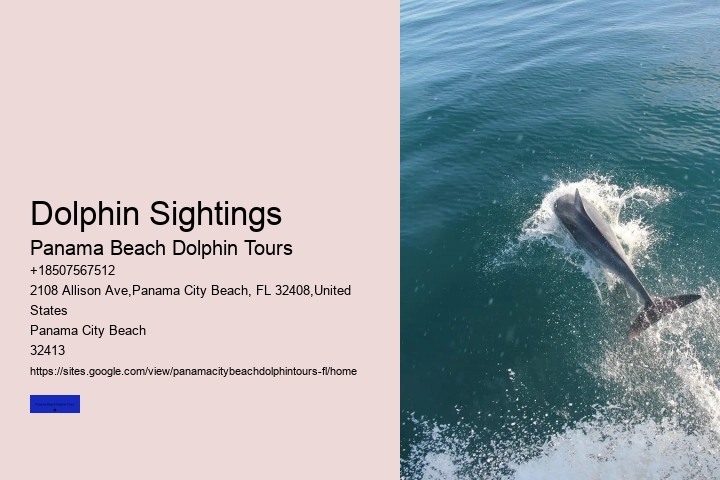 Dolphin Tours Panama City Beach Jet Ski