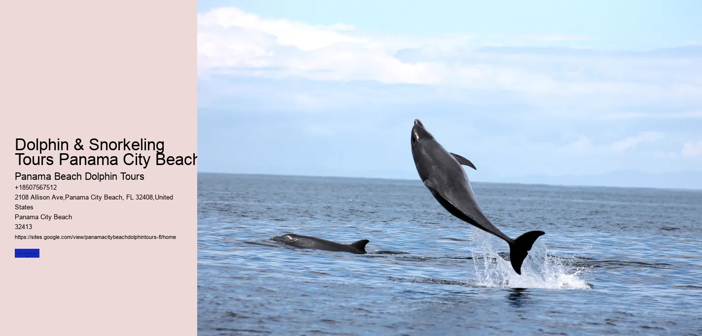 Is It Ethical To Swim With Dolphins