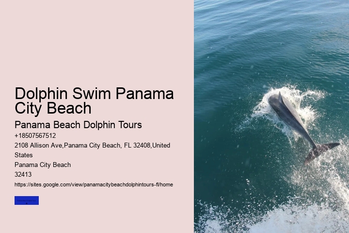 The Risks Of Swimming With Dolphins In The Wild