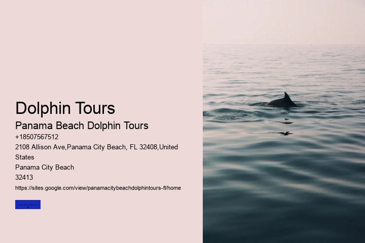 Dolphins Do Not Have A Sense Of Smell