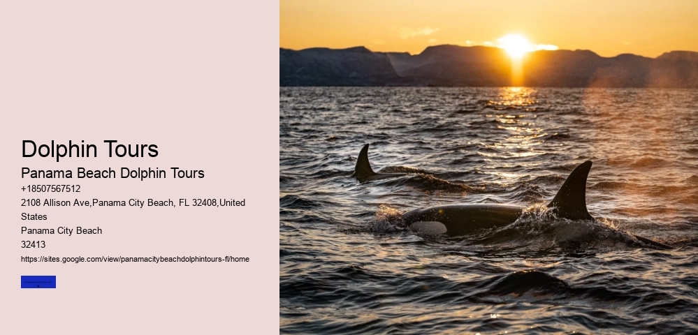 Dolphin & Snorkeling Tours Panama City Beach