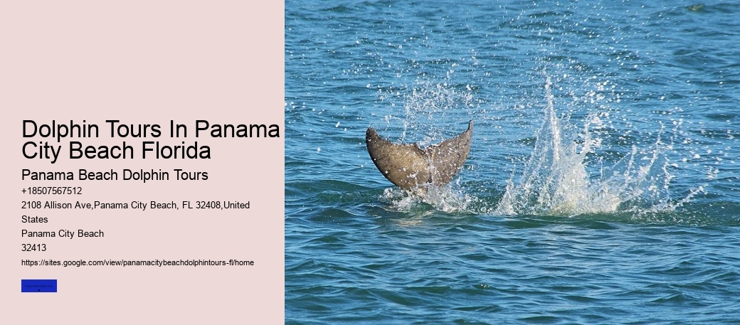 Panama City Beach FL Boat Tours