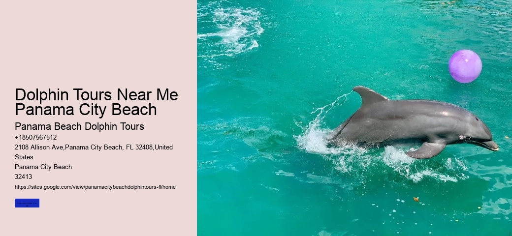Why Should You Not Push A Beached Dolphin Back Into The Water