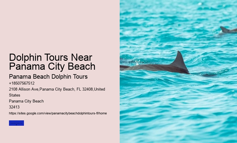The Ugly Truth About Dolphin Shows