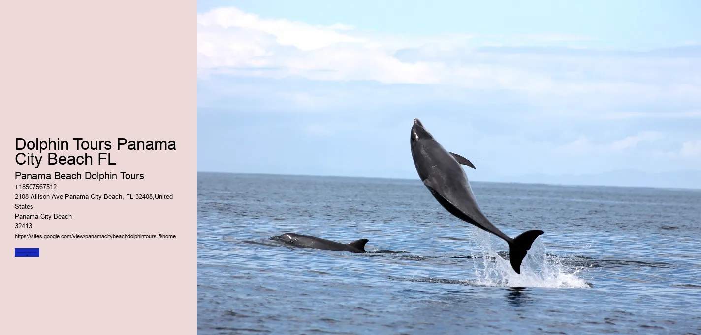 Are Dolphins Aggressive Towards Humans