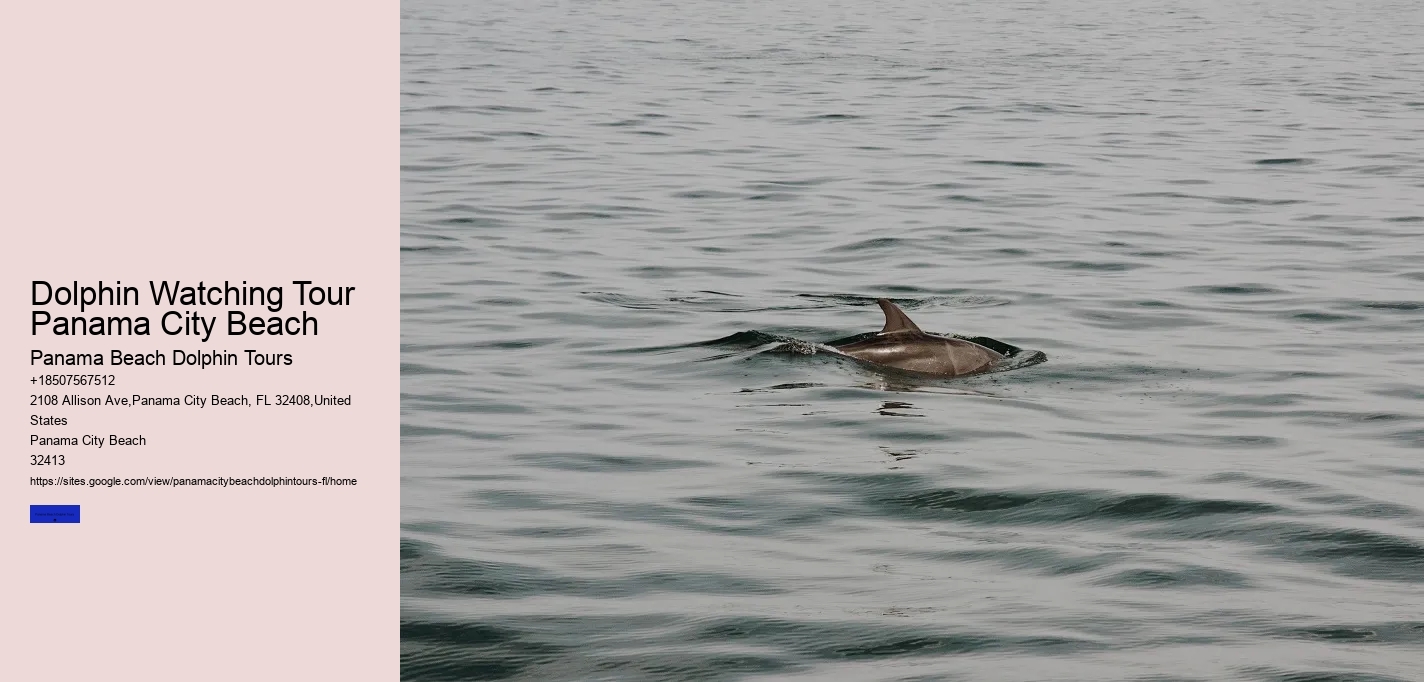 Dolphin Watching Tour Panama City Beach